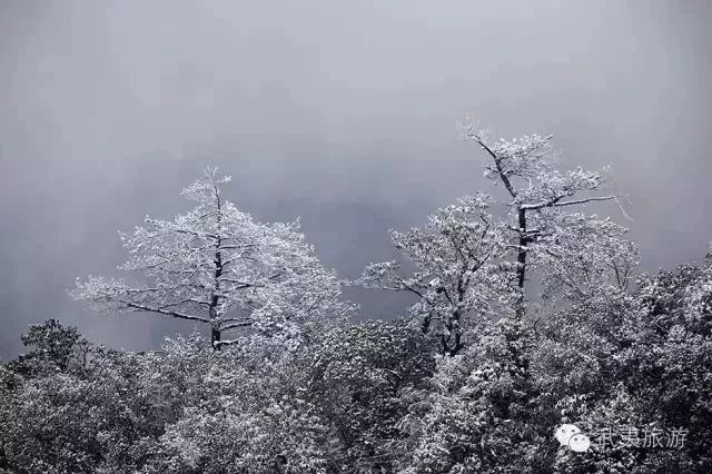 松溪白马山