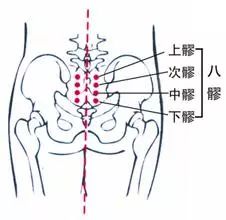 祛湿减肥是什么原理_祛湿豆是什么豆图片