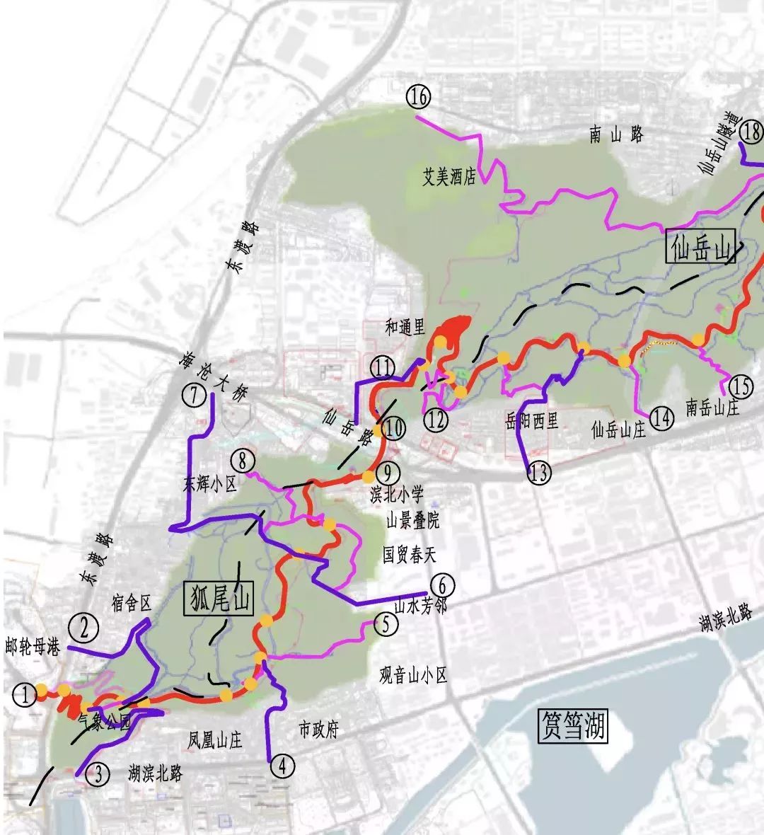 超高颜值的厦门健康步道即将上线!从你家步行就能到!