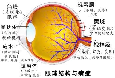 艾滋病人口水弄进眼睛_艾滋病症状图片(2)