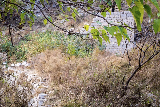 河南安阳:深山沟有个无人村庄,荒废的村庄变城堡