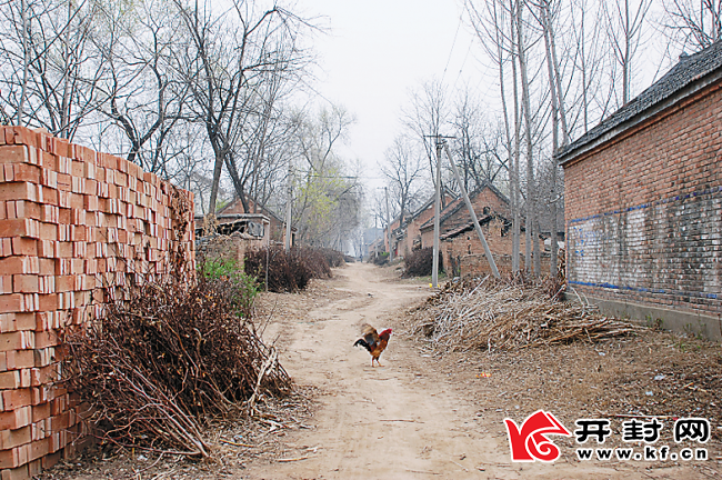 图上世纪七八十年代的农村与住房.