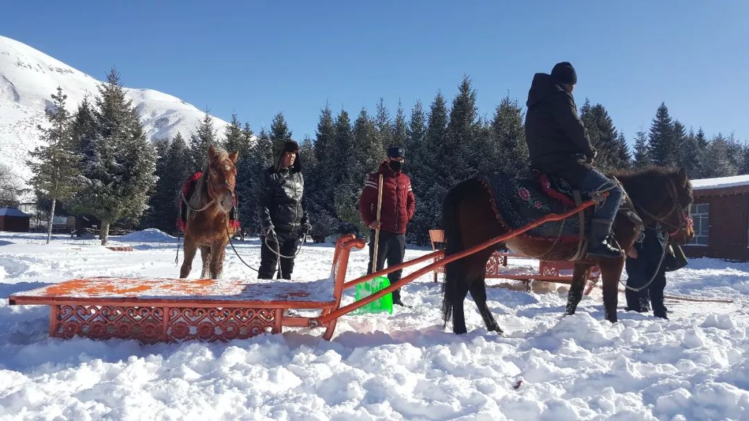 冬季旅游坐着爬犁画中游你玩儿过吗