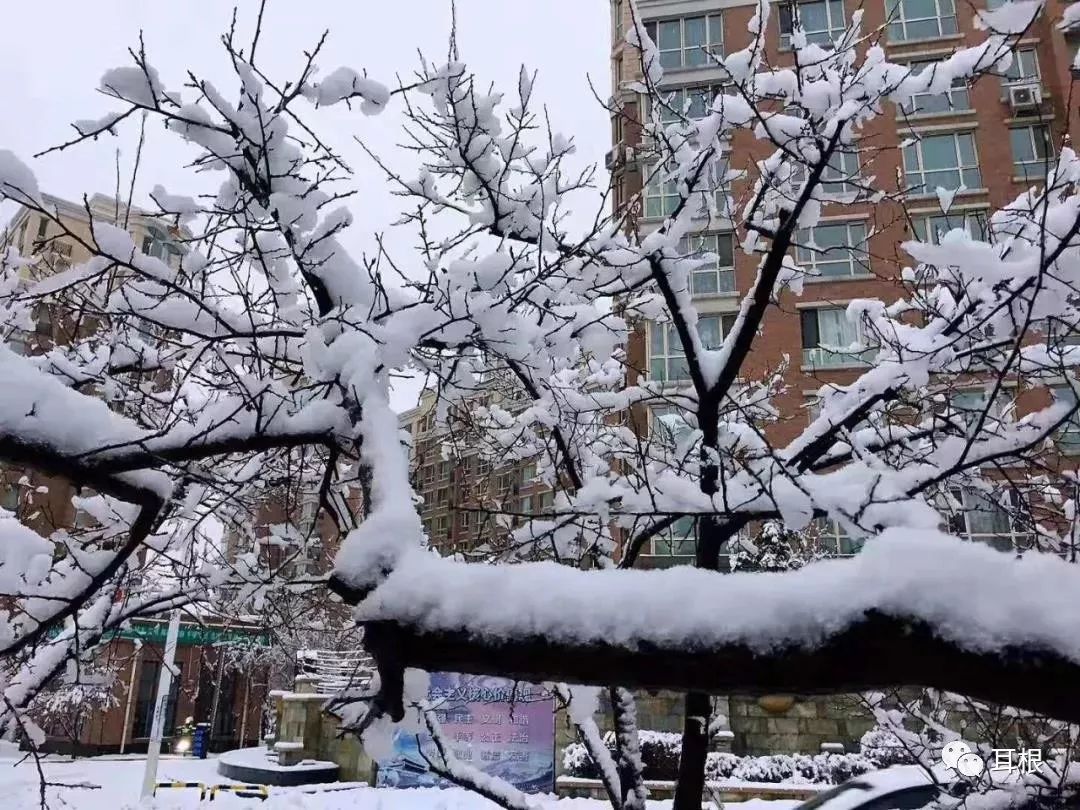 这个冬季和赵雅梦来一场冰雪奇缘!