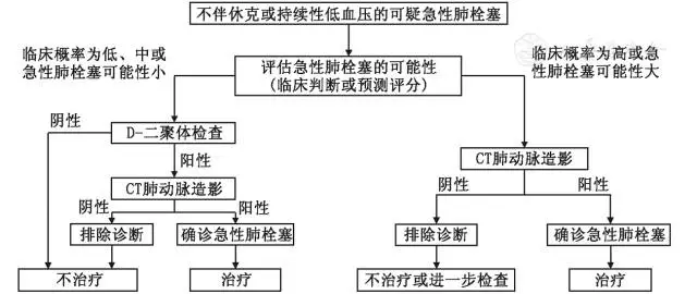 肺栓塞解读