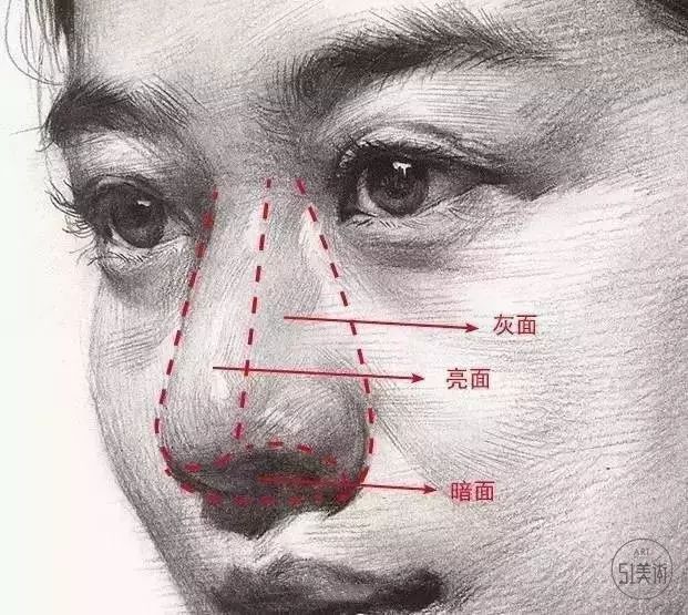 画素描头像时结构造型与透视是否准确竟占画面总分的80学好这三点艺考