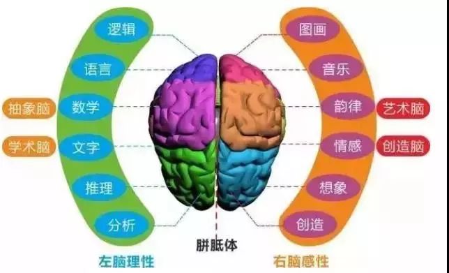 6米长的趣味工具书，从小学一直用到初中!将语文、数学、历史、地理、政治知识融会贯通，培养孩子全领域知识基础，明早8点开团!