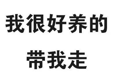 真的，我勸你不要和廣東女生談戀愛！ 生活 第15張