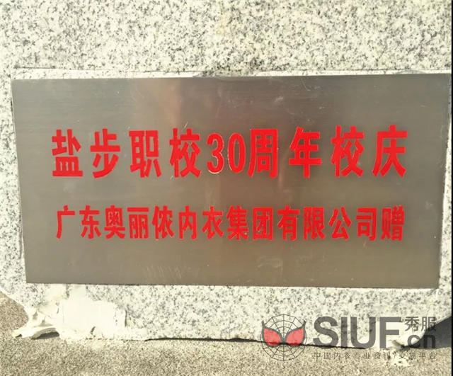 盐步内衣人才网_中厚杯咖啡色刺绣小胸集中聚拢品牌盐步厂家文胸内衣批发