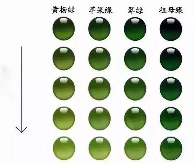 淡雅 润亮 需要说明的是,绿色有多种色系,每个色系里又有不同色阶