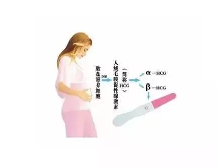 病人口味属于个人史还是_医院病人图片