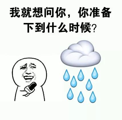 西湖边的几位稀客值得你风里雨里去看看