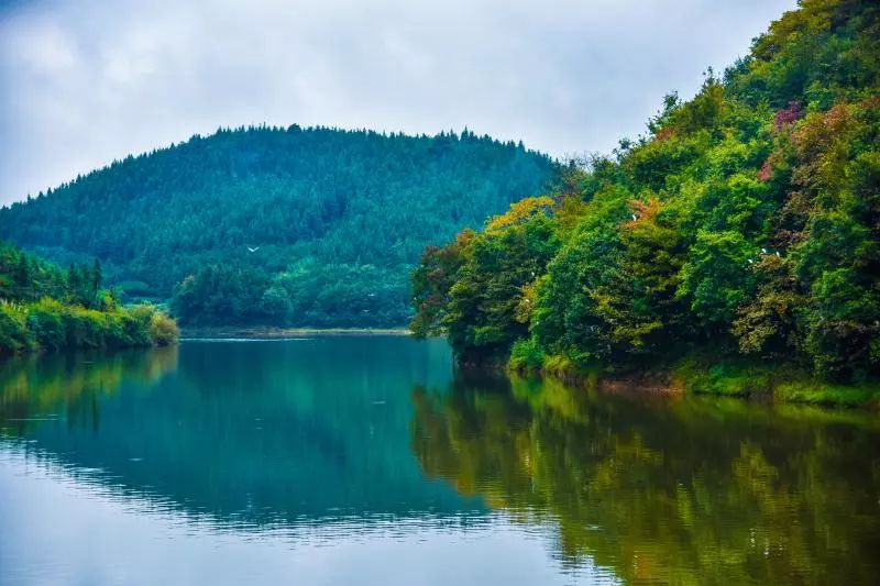 桂阳魅力新村——方元镇观山村:绿水青山成就金山银山