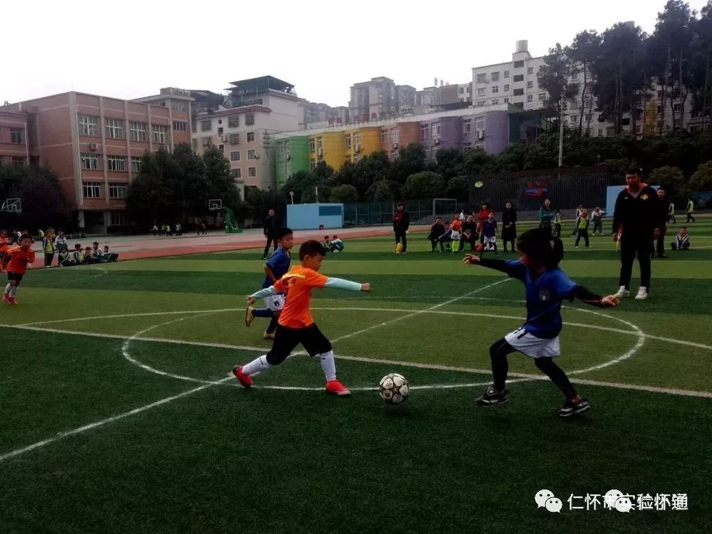 来源:仁怀市实验小学返回搜狐,查看更多