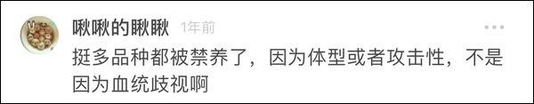 杭州大爷带中华田园犬办证被拒：属禁止饲养犬只