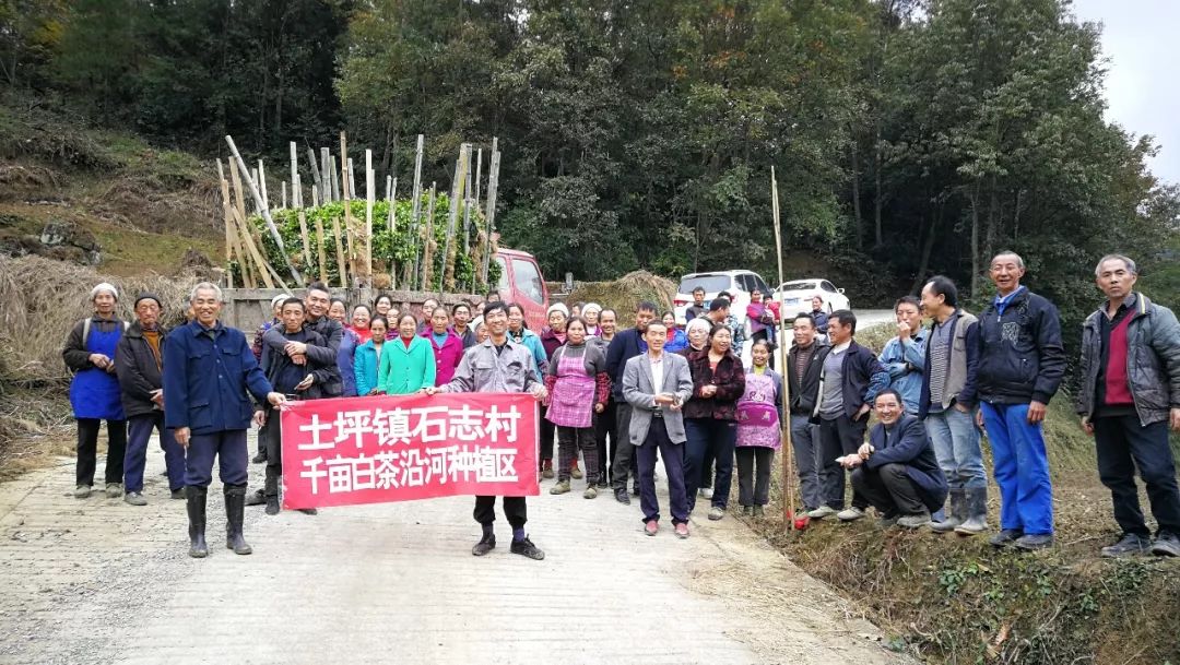 这几天土坪镇石志村全村人都在干这件事