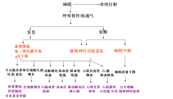 脑梗晚上睡不着的原理_如何让新生儿睡好觉   督促宝宝规律睡眠   尤其夜间安静时较为明显