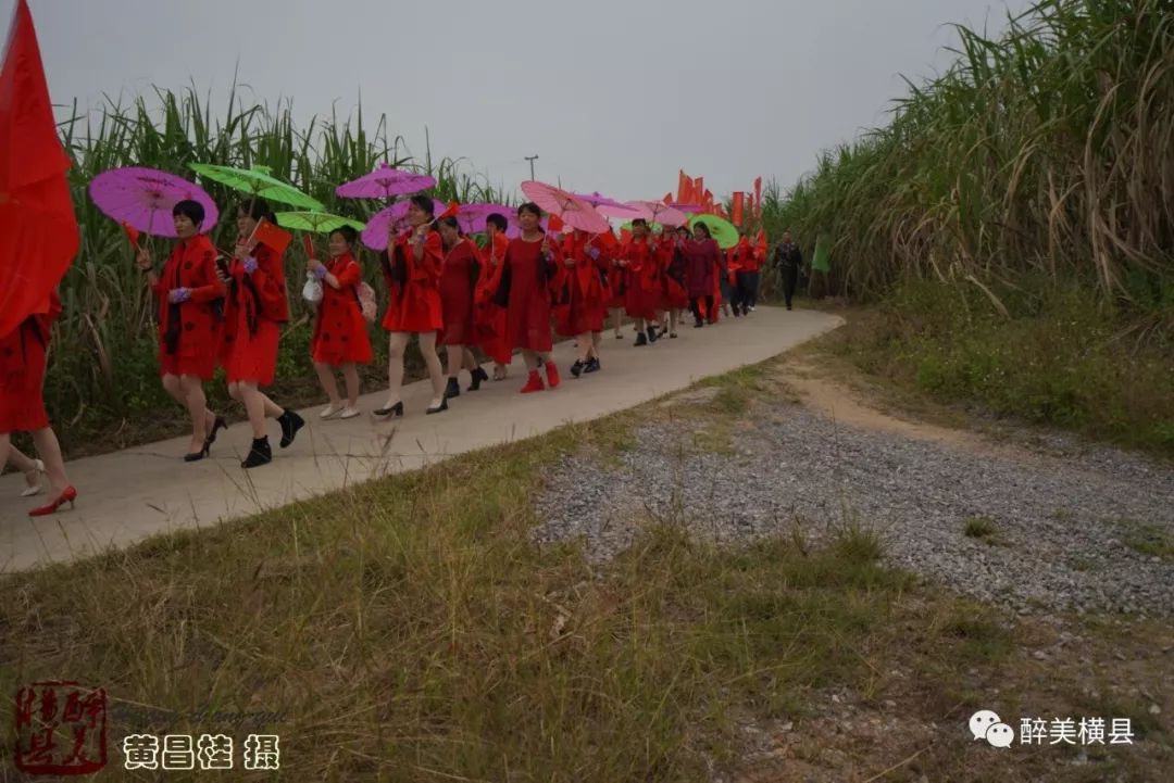 广西横县有多少人口_明天,又有上万人涌向横县伏波庙(2)