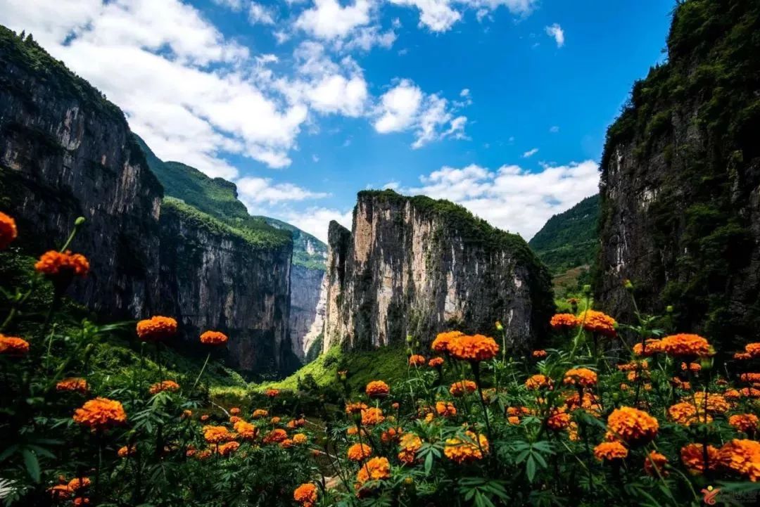 云阳奉节巫山巫溪:学好用好