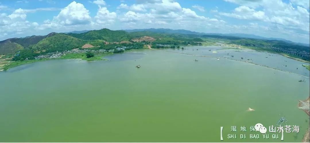 根据《广西梧州苍海国家湿地公园总体规划,苍海湿地公园总面积约达