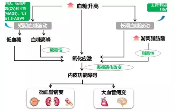 血糖波动大才是糖尿病并发症的罪魁祸首,应对血糖波动的秘密武器你得