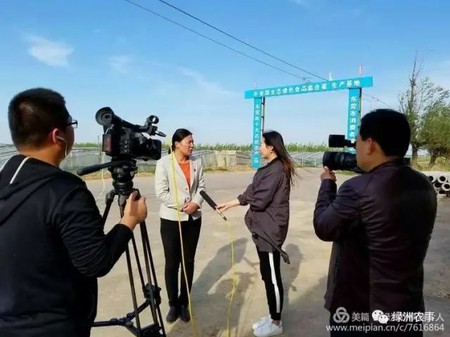 社区乾舜农业开发公司南李社区垦利玉峰水产寻找黄河口菜清风