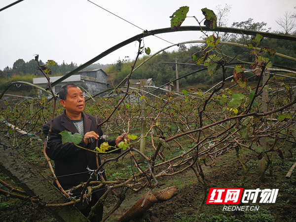 马田坪村人口_西溪乡西溪村人口