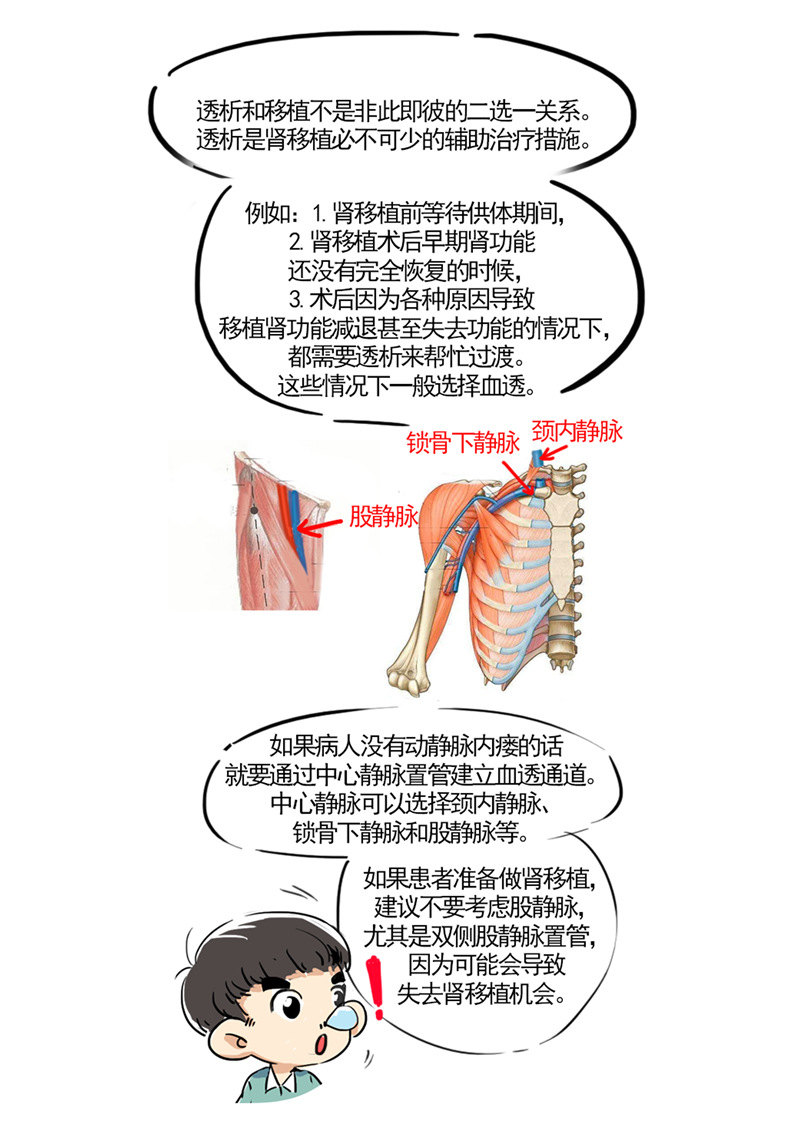 人口生死比例_人口比例(2)