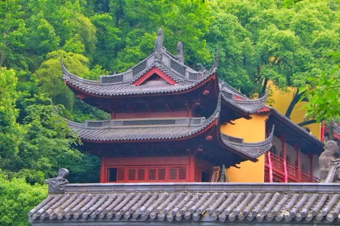 与"灵隐寺"齐名的"径山寺"适合发呆闲逛的酒店环境,慵懒放松变得理所