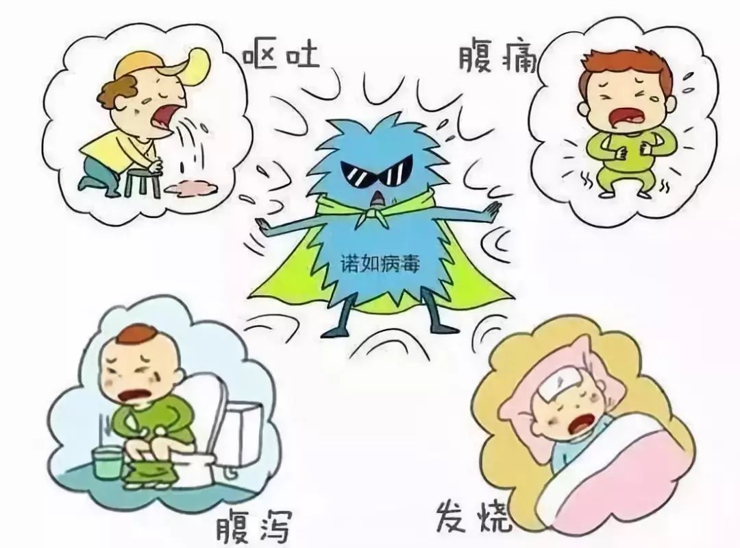 卫生保健诺如病毒的预防