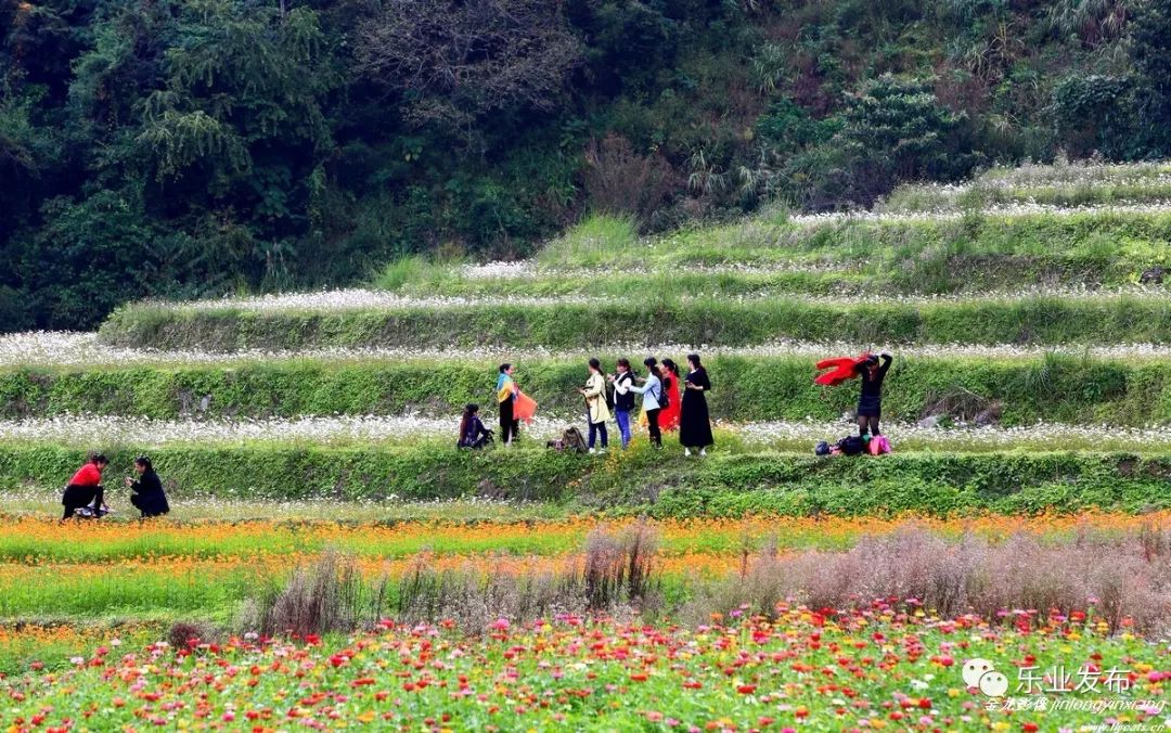 乐业县新化镇gdp_周边游丨如果在广西, 爸爸去哪儿 肯定会去这儿