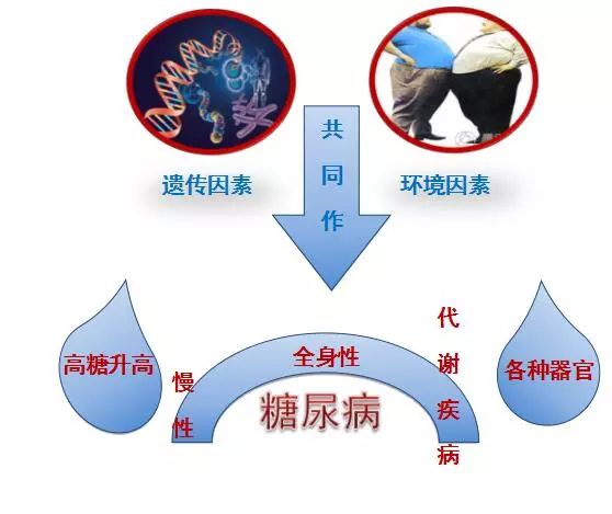 2018年11月14日世界防治糖尿病日thefamilyanddiabetes