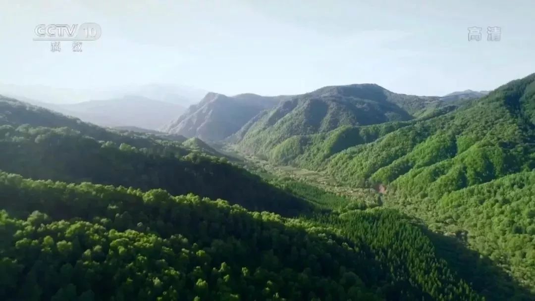 南段称陇山,北侧曾经山路险狭,须经六重盘道才能到达峰顶,"六盘山"