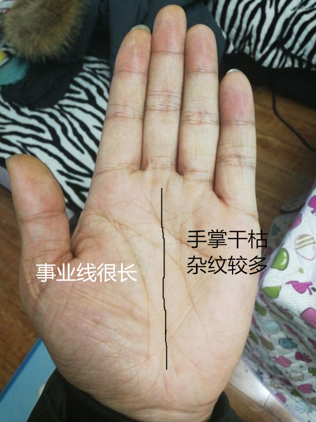 这种手相特征的人比较有福气