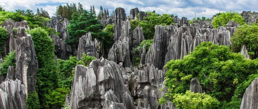 千岛湖石林景区是中国四大石林之一