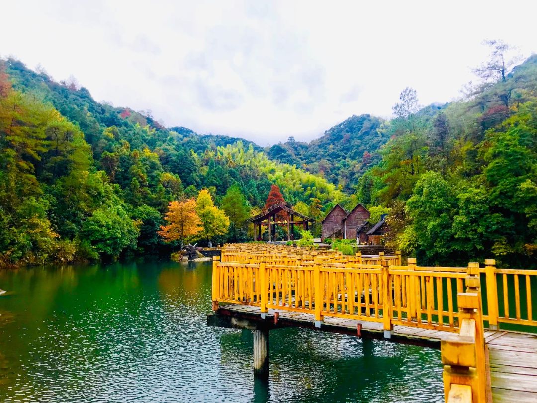 身临"祁"境,探秘祁门|祁门县2018全域旅游推介会,美景