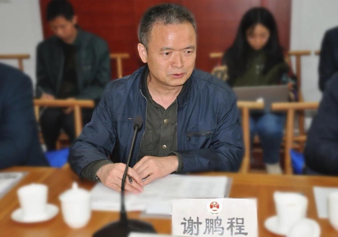 图为最高人民检察院理论研究所所长谢鹏程发言3杨东教授发言主要