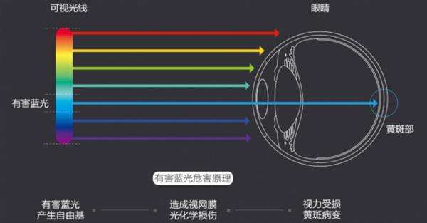 铜仁一中学生问:近视玩手机,防蓝光眼镜有用吗?吃什么保护眼睛?