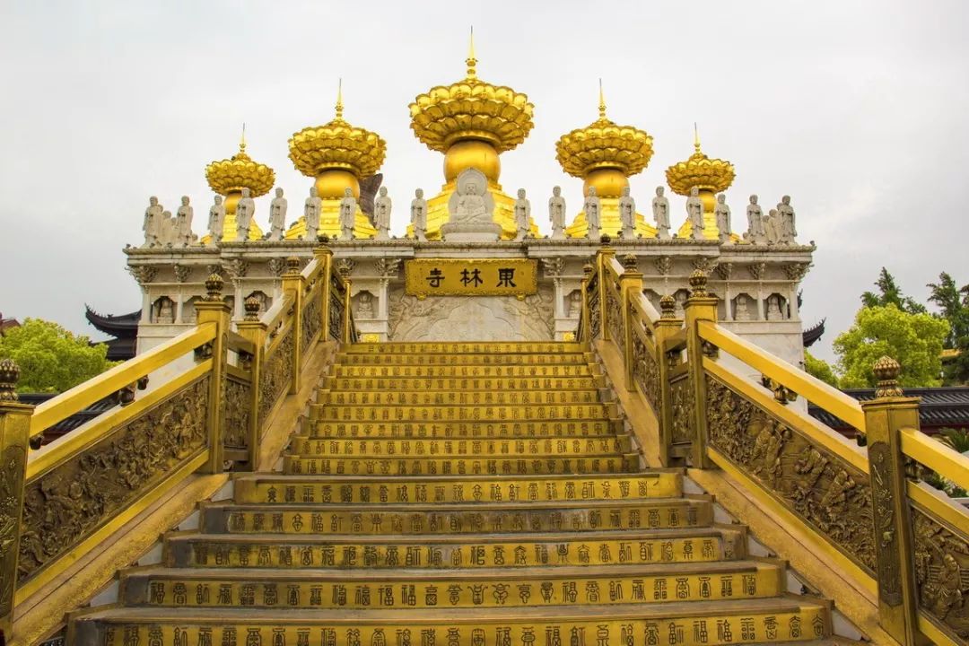 东林寺 金山渔村,赶快行动