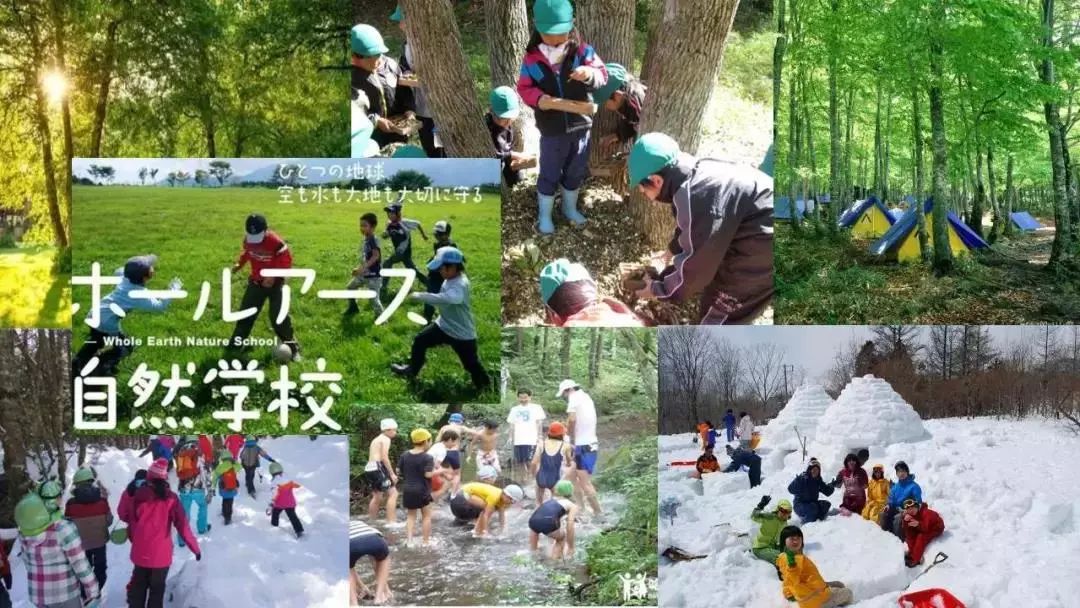 日本国立自然学校旨在通过课程体验活动加深青少年对人与自然,人与人