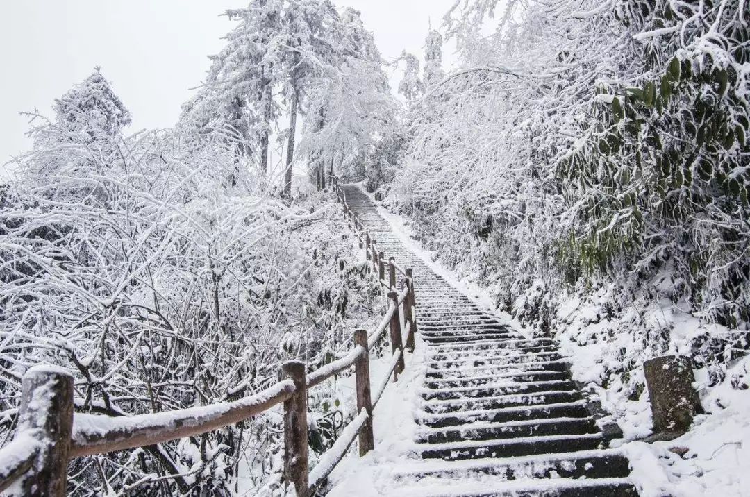 南方赏雪景,就来峨眉山