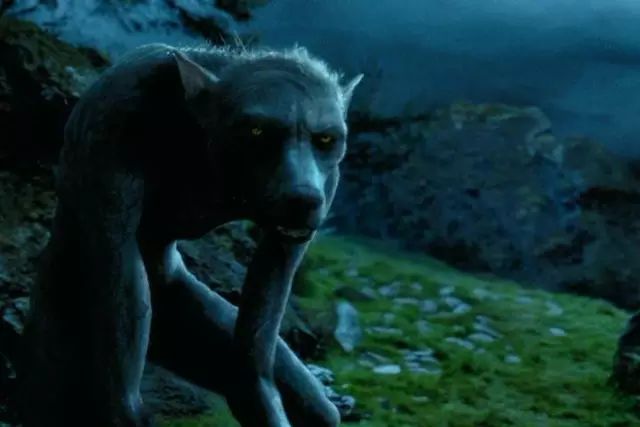 在魔法世界里,狼人被定性为"神奇动物"是存在争议的.