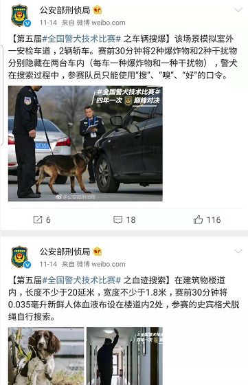 貼創可貼警犬走紅 表情包都出瞭！網友：這是男子漢的勛章