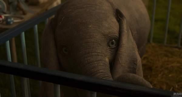 迪士尼《小飞象》真人电影预告 “象”眼无辜惹人怜