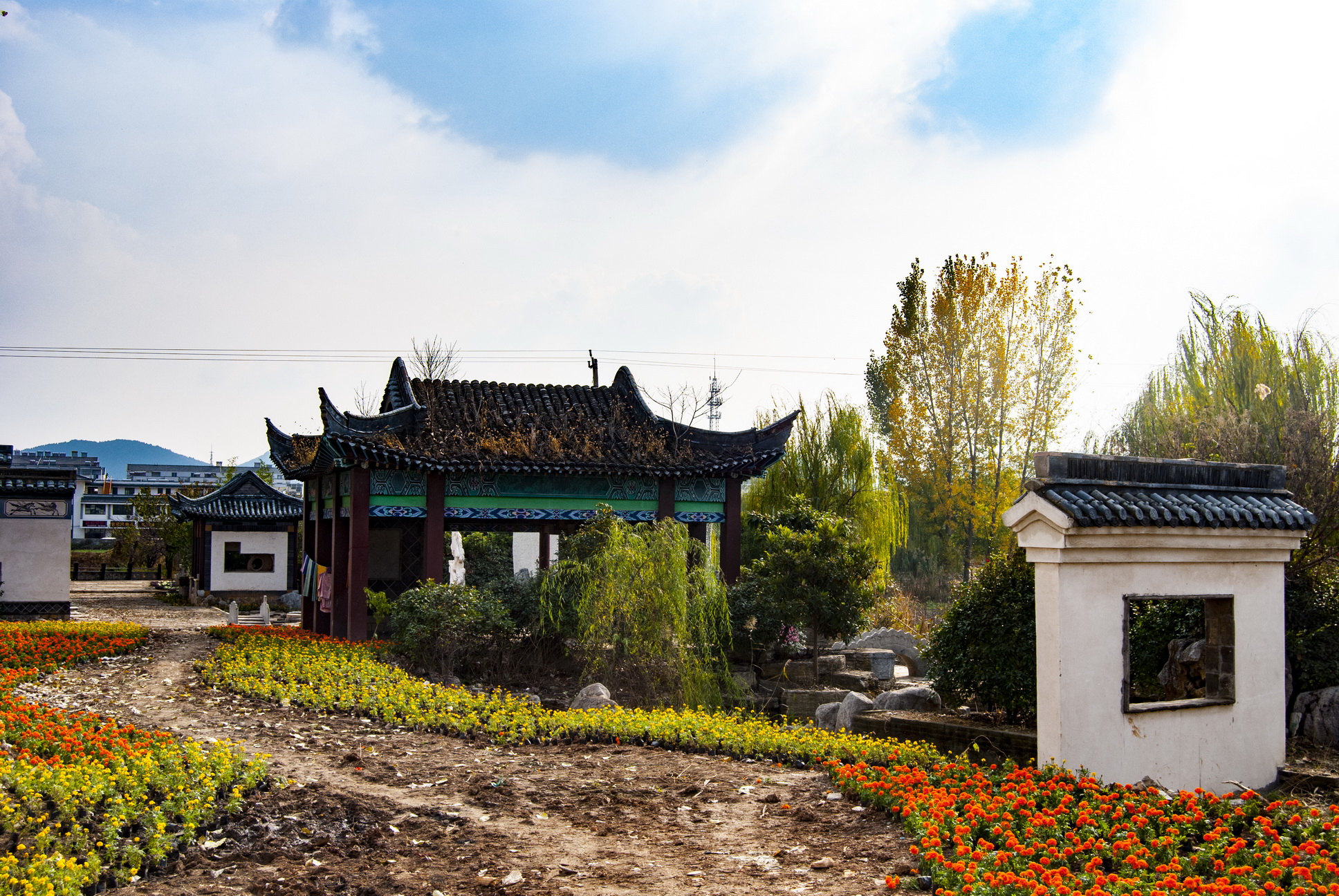 走进徐州市后花园汉王镇的丁塘村,鱼塘变成了公园