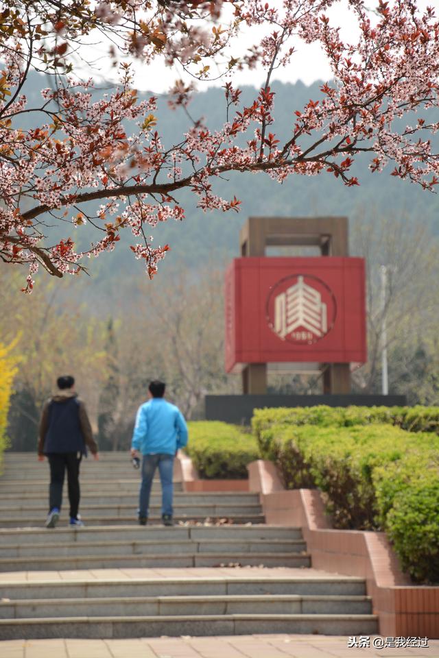 冬日里,在山东建筑大学做场春天梦