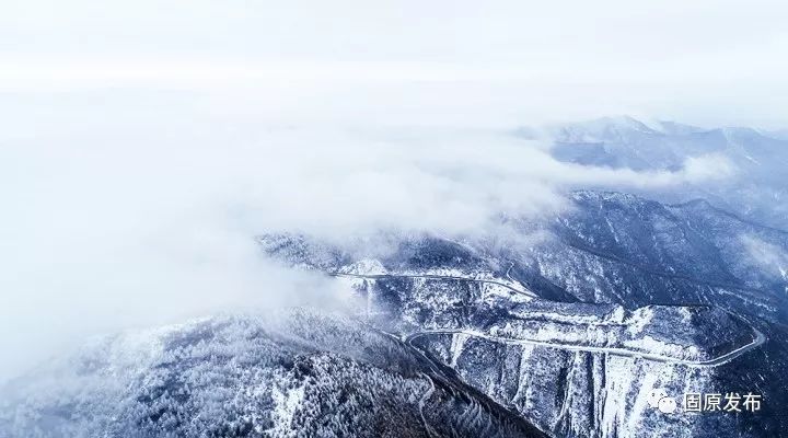 【漂亮】六盘山上冬景雪景同框,美成了天堂!