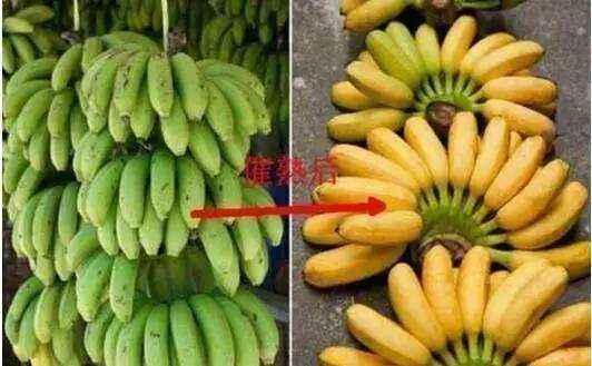 市场上大多香蕉都是催熟? 用这3个方法