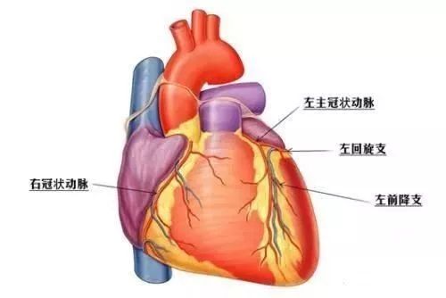 终极救命神器ecmo"代班"罢工心脏