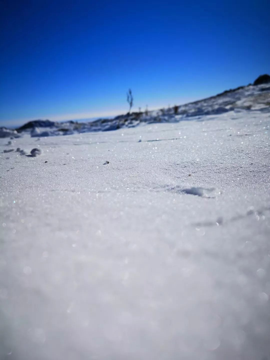 职工漫谈丨孤独,是风雪人生路上开出的一朵花